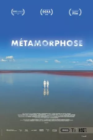 Poster Metamorphosis