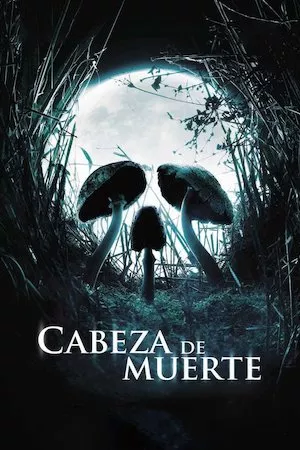 Poster Cabeza de muerte
