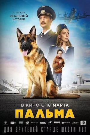 poster de la pelicula Palma en HD