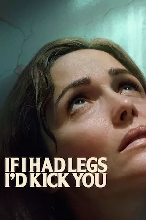 Poster If I Had Legs I'd Kick You