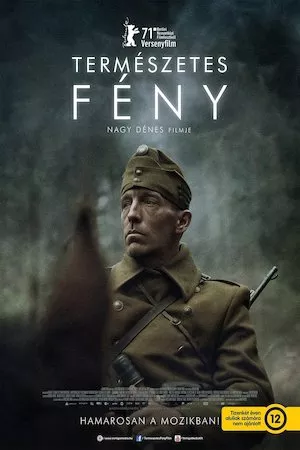 Poster Természetes fény