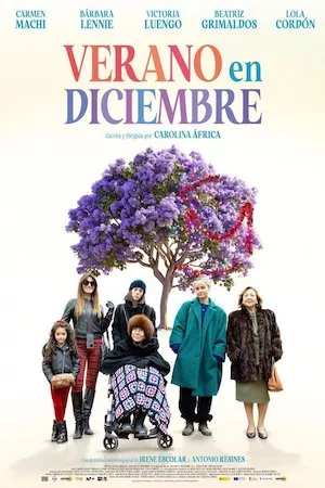 poster de la pelicula Verano en diciembre en HD