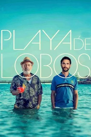 Poster Playa de lobos