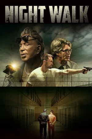 poster de la pelicula Night Walk en HD