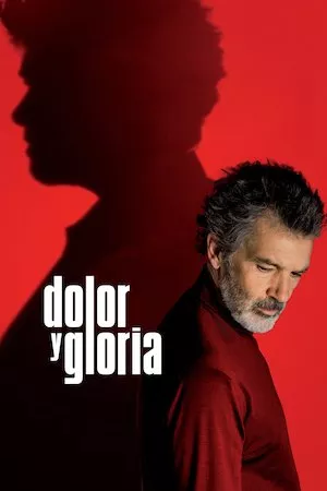 Poster Dolor y gloria