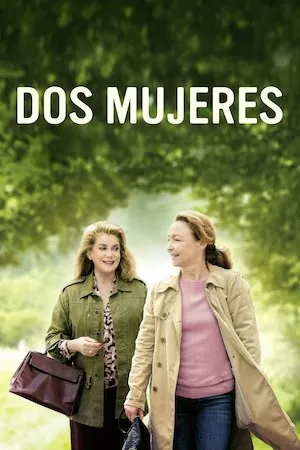 Poster Sage femme (El reencuentro)