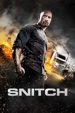 Poster Snitch (El infiltrado)