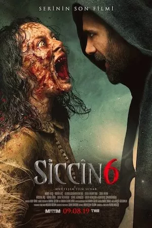 Poster Siccin 6