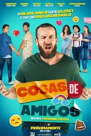 poster de la pelicula Cosas de amigos en HD