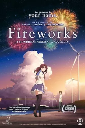 Poster Fireworks