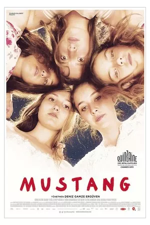 Poster Mustang