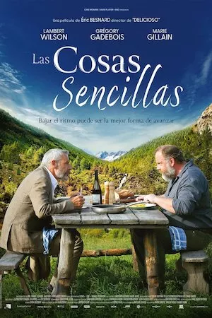 poster de la pelicula Las cosas sencillas en HD