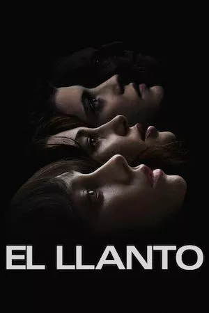 poster de la pelicula El llanto en HD