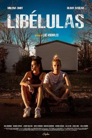 poster de la pelicula Libélulas en HD