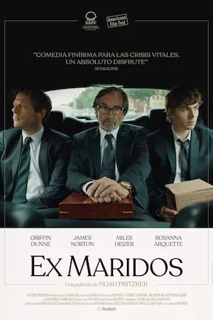 poster de la pelicula Ex-Husbands en HD