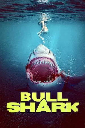 Poster Bull Shark