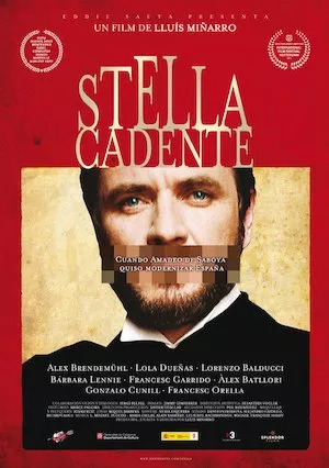 Poster Stella Cadente (Estrella fugaz)