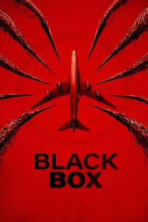 Black Box: Vuelo 298
