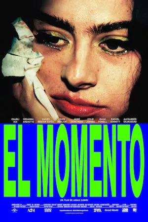 poster de la pelicula The Moment en HD