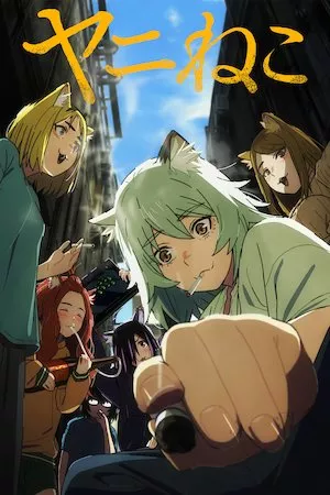 Chainsmoker Cat