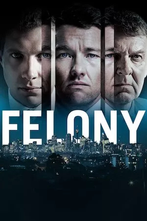 Poster Felony (El rastro del delito)