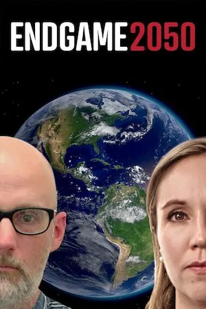 Poster Endgame 2050