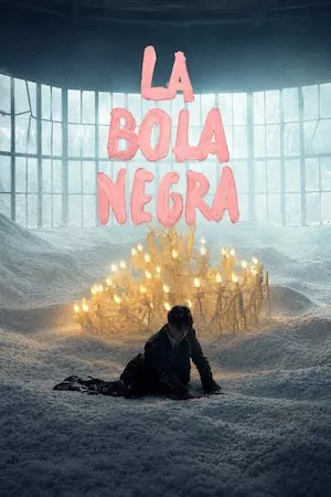 Poster La bola negra