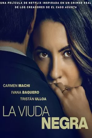 Poster La viuda negra