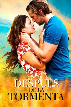 poster de la pelicula After the Storm en HD
