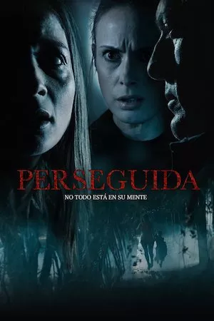 poster de la pelicula Perseguida en HD