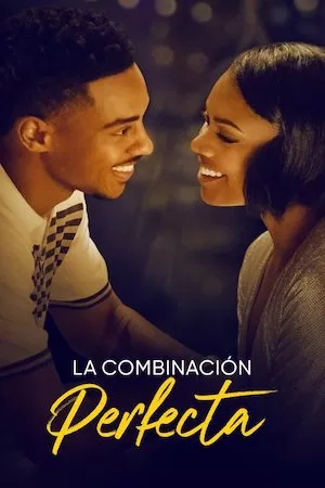 poster de la pelicula The Perfect Find en HD